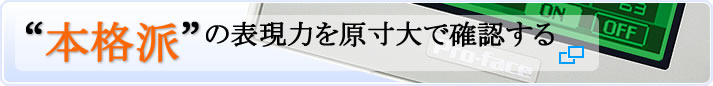 本格派